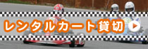 レンタルカート貸切